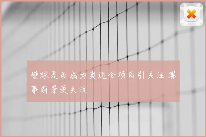 壁球是否成为奥运会项目引关注 赛事前景受关注