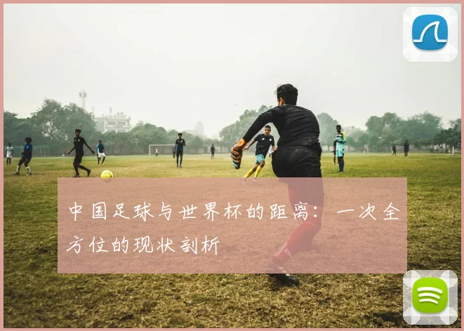 中国足球与世界杯的距离:一次全方位的现状剖析