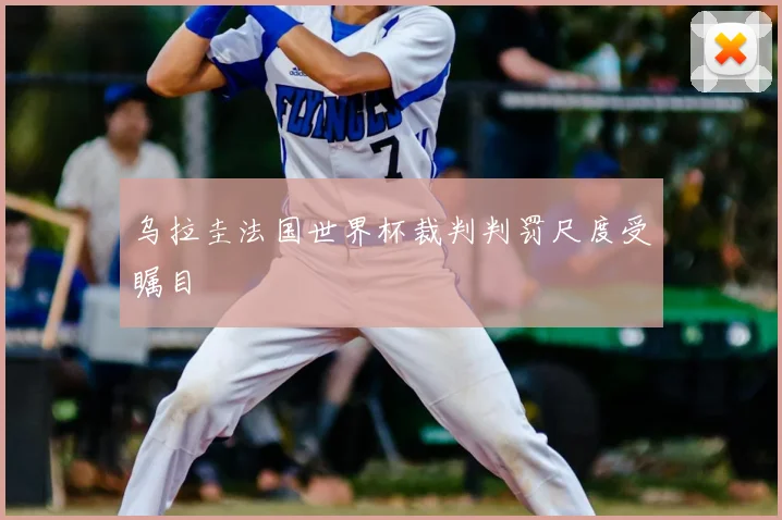乌拉圭法国世界杯裁判判罚尺度受瞩目
